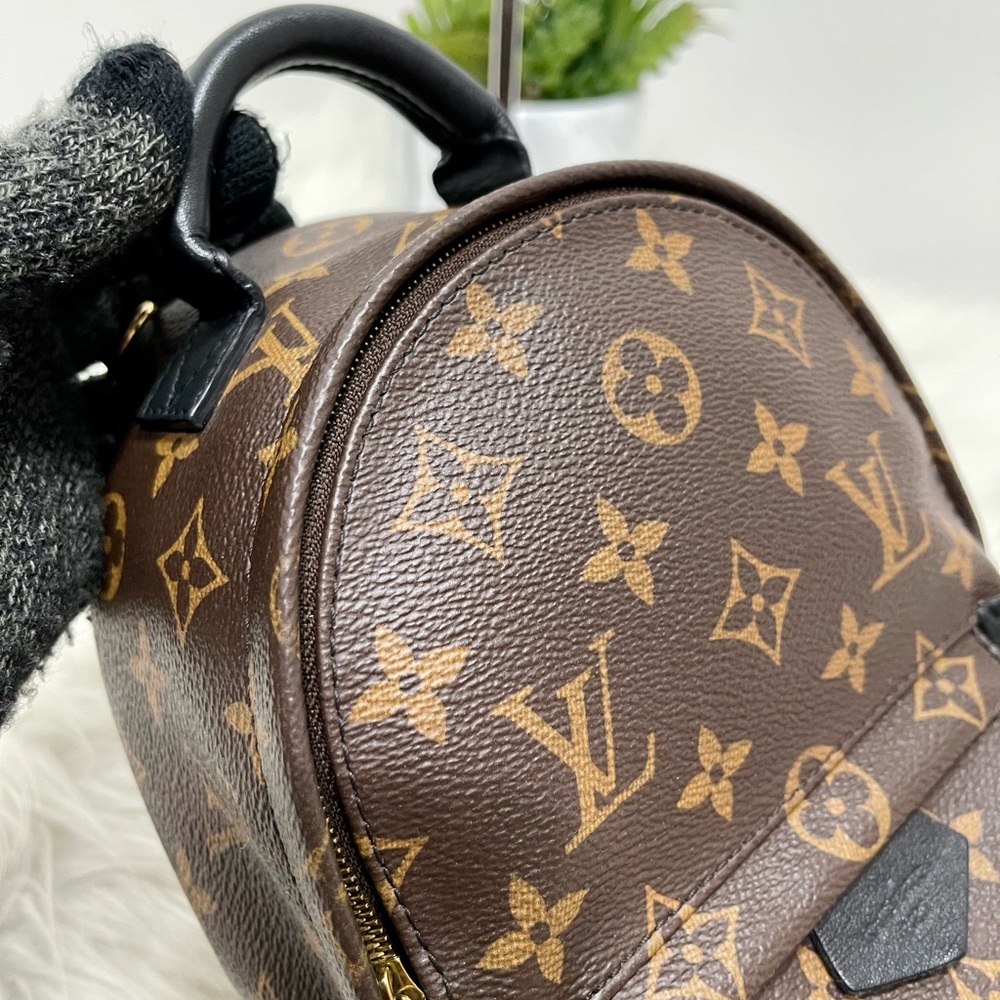 Palm Spring Mini - Picture 8 of 12